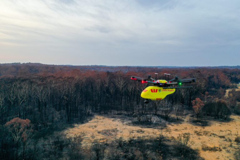 ANIMAL HELPERS USING DRONES TO SPOT WILDLIFE