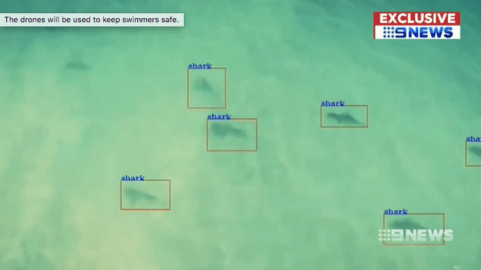 Lifesaving drones can detect sharks from other marine life