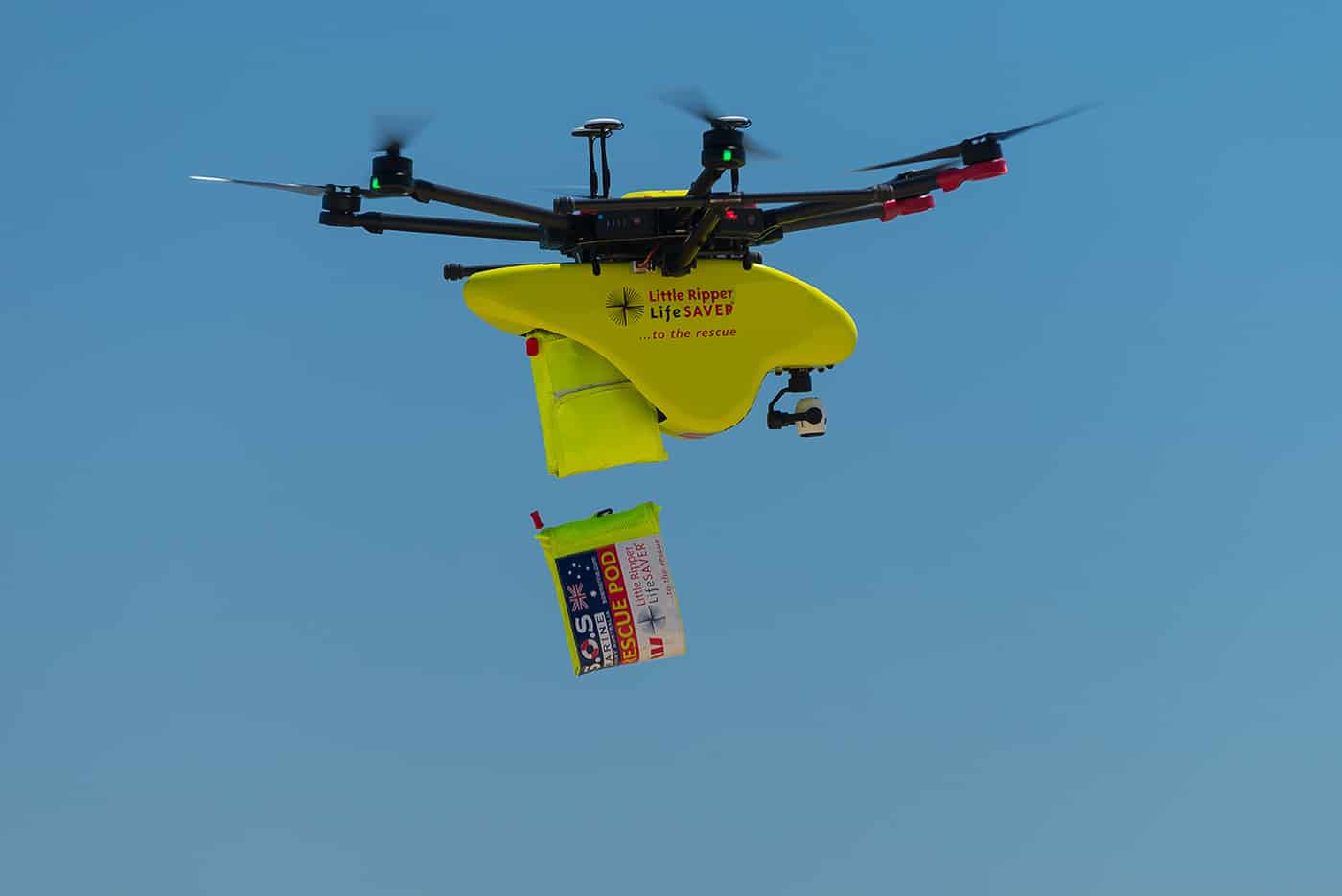 Little Ripper Lifesaver