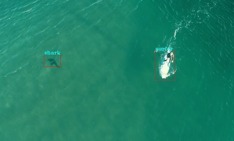 Drone Technology proving to be pivotal for Shark Alerts